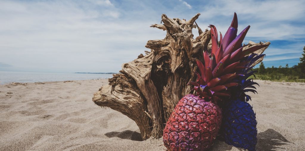Instagram Stories is an easy way for you to engage with your audience more, show new products, answer questions, and market your business with little effort.